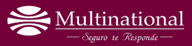 Multinational